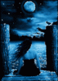 /album/galleria-foto-homepage4/ql1cj0vcfrd-1-gif/